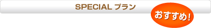 SPECIAL プラン